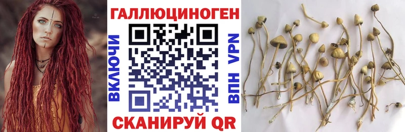 Галлюциногенные грибы прущие грибы  где продают   Выкса 