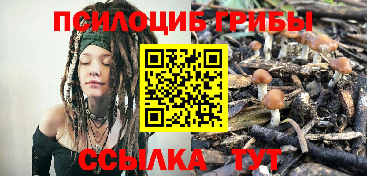 Выкса  Галлюциногенные грибы мицелий  Вход с VPN 