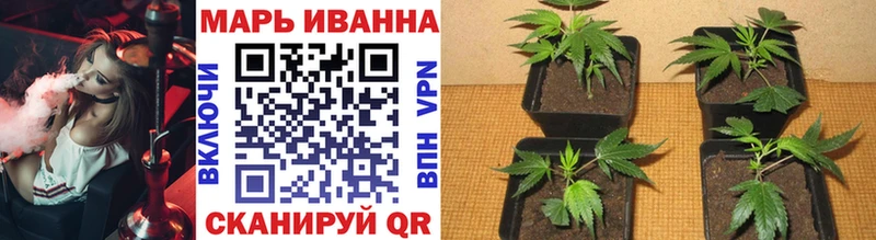 МАРИХУАНА Ganja  наркотики  кракен ССЫЛКА  Выкса 